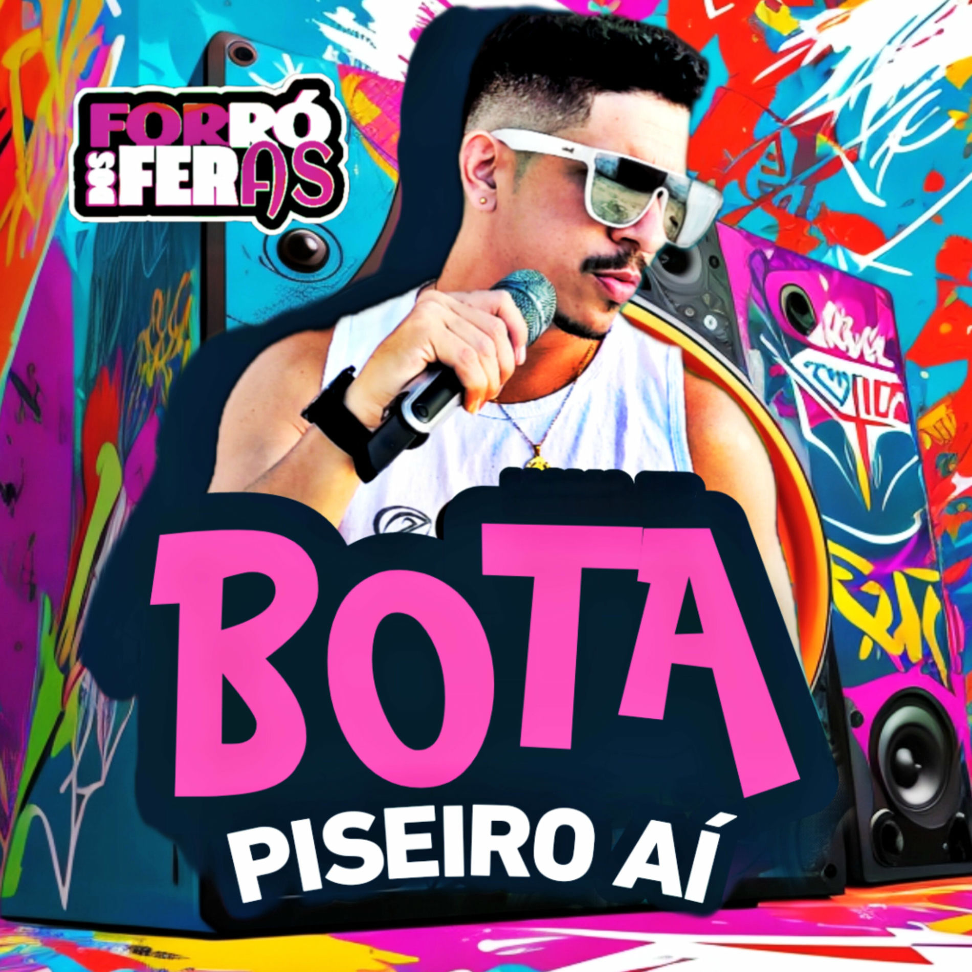 Album cover of Bota Piseiro Aí
