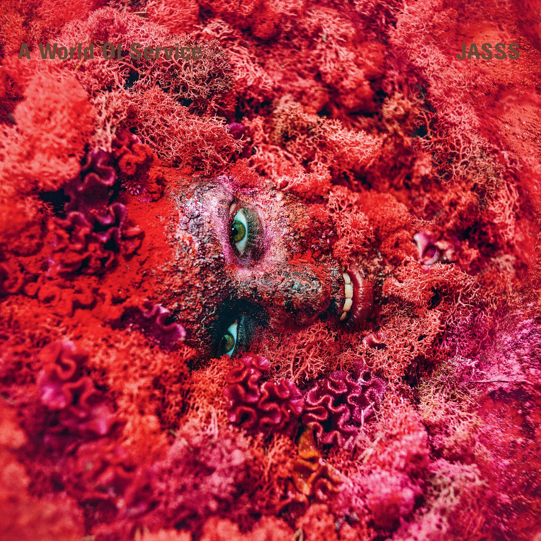 Album cover of Luis