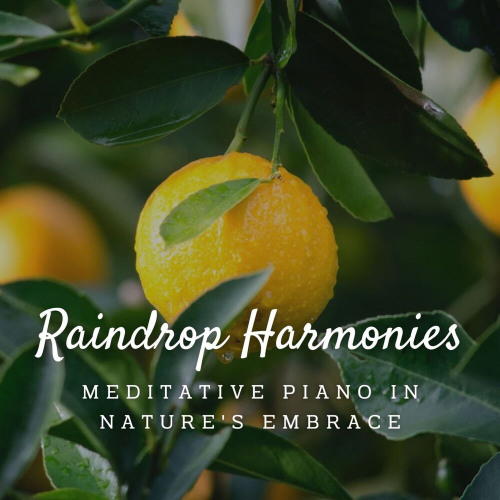 Picture of Raindrop Harmonies: Meditative Piano in Nature's Embrace