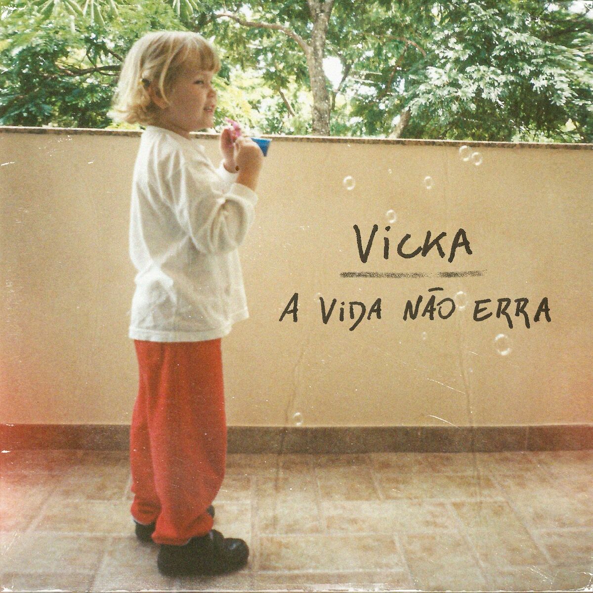 Album cover of A Vida Não Erra