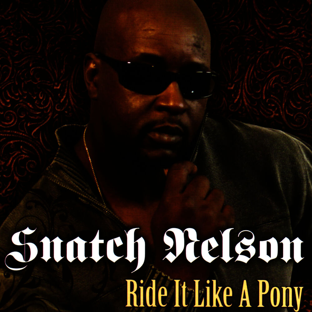 Picture of Ride It Like a Pony