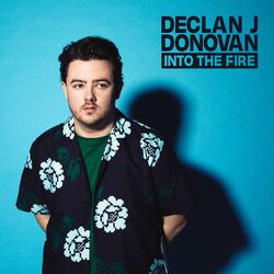 Cover of Into The Fire
