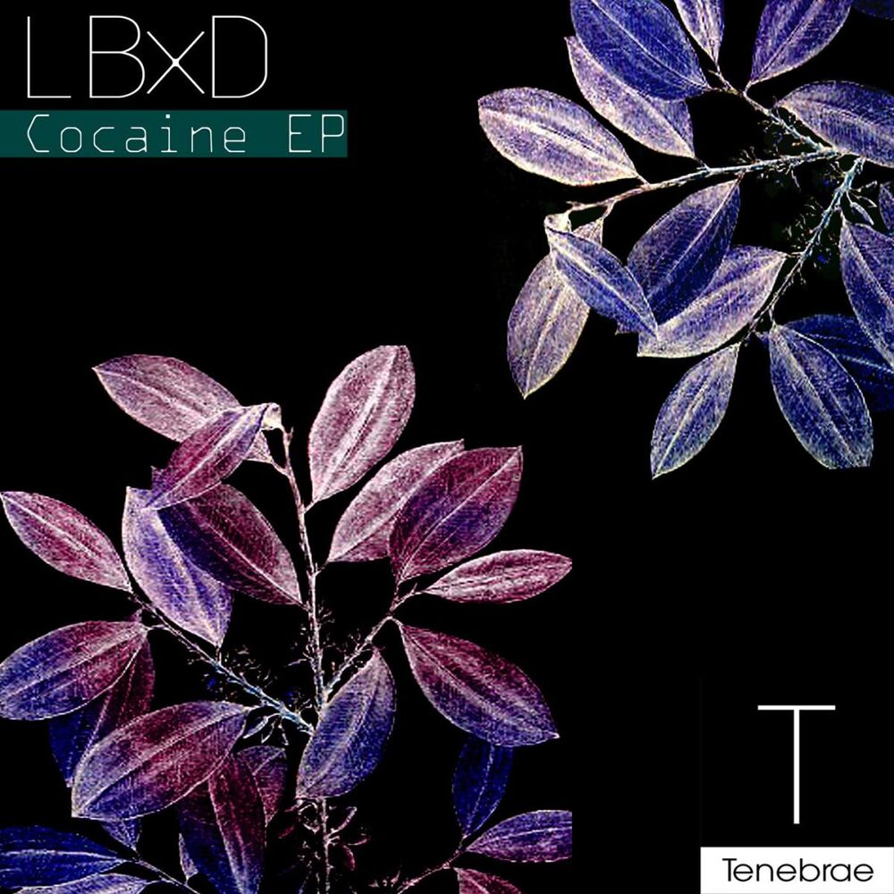 Picture of Cocaine EP