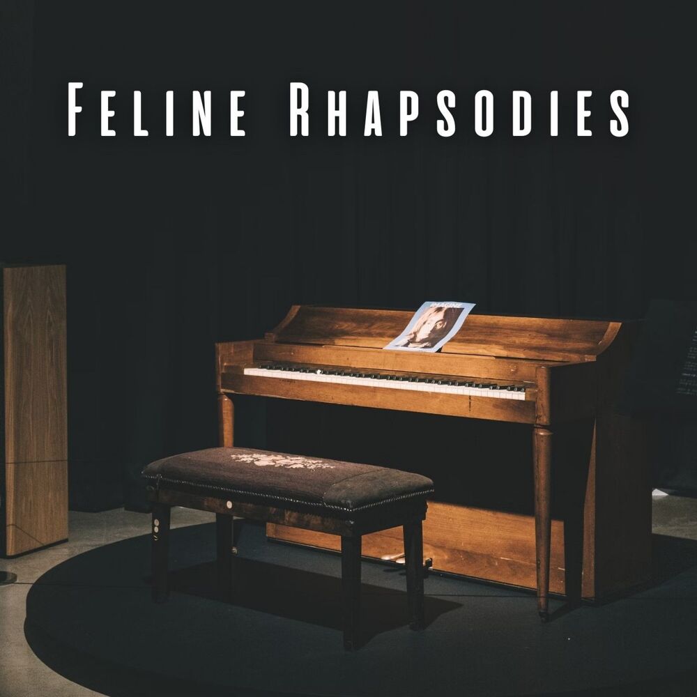 Picture of Feline Rhapsodies: Calm Cats with Piano Serenades