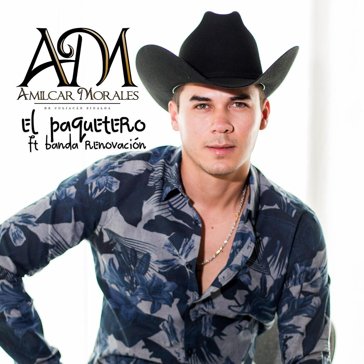 Album cover of El Paquetero (En Vivo)