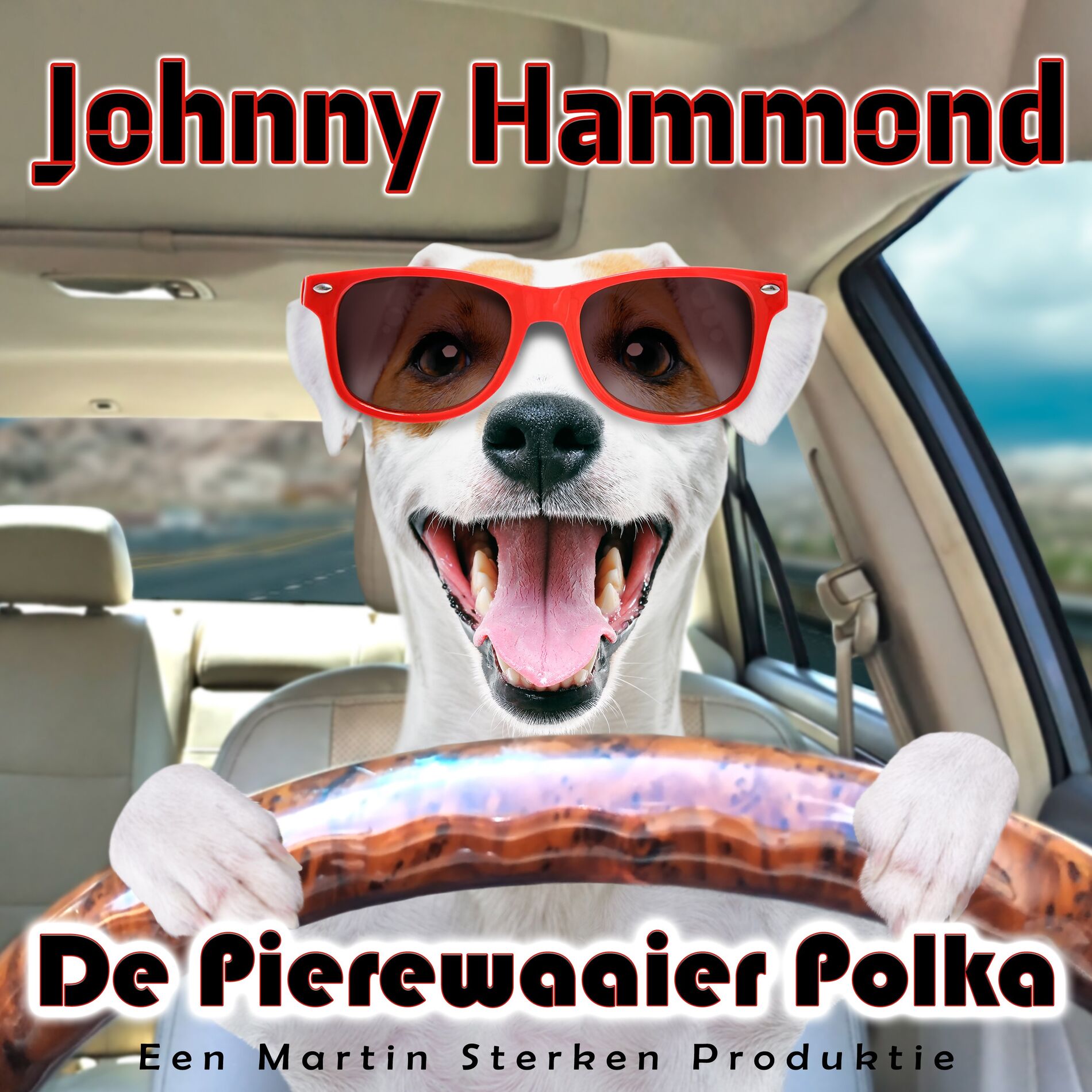 Album cover of De Pierewaaier Polka