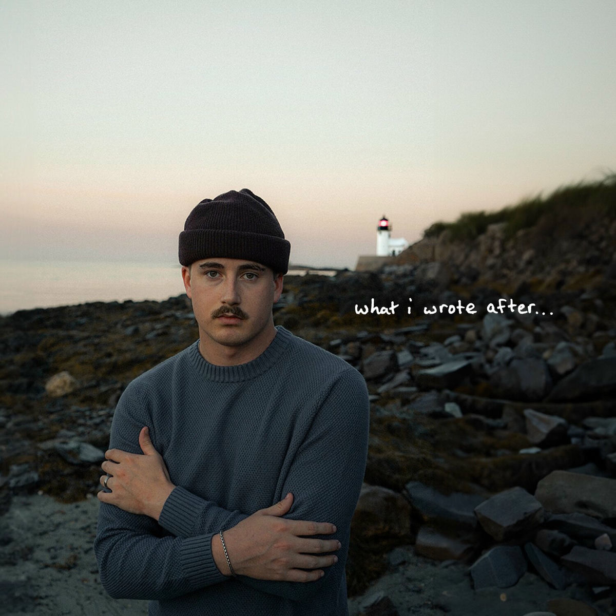 Album cover of can't say we didn't try,