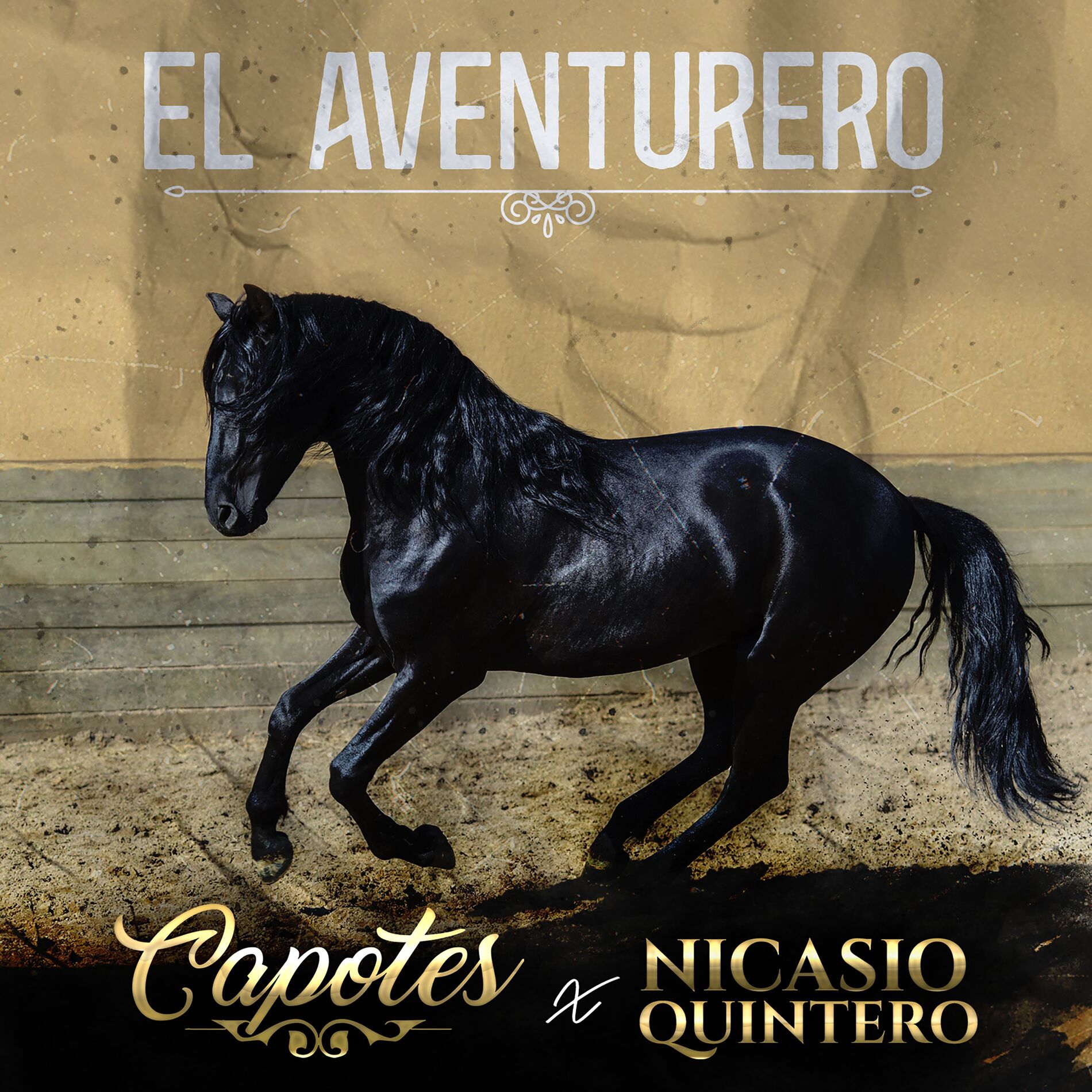 Album cover of El Aventurero (En Vivo)