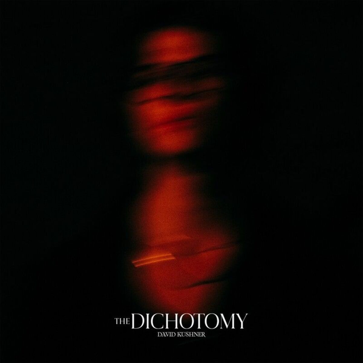 Album cover of Darkerside