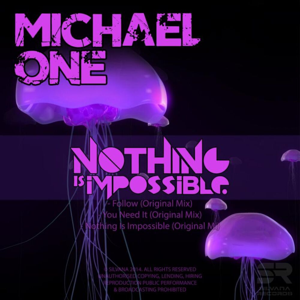 Picture of Nothing is Impossible