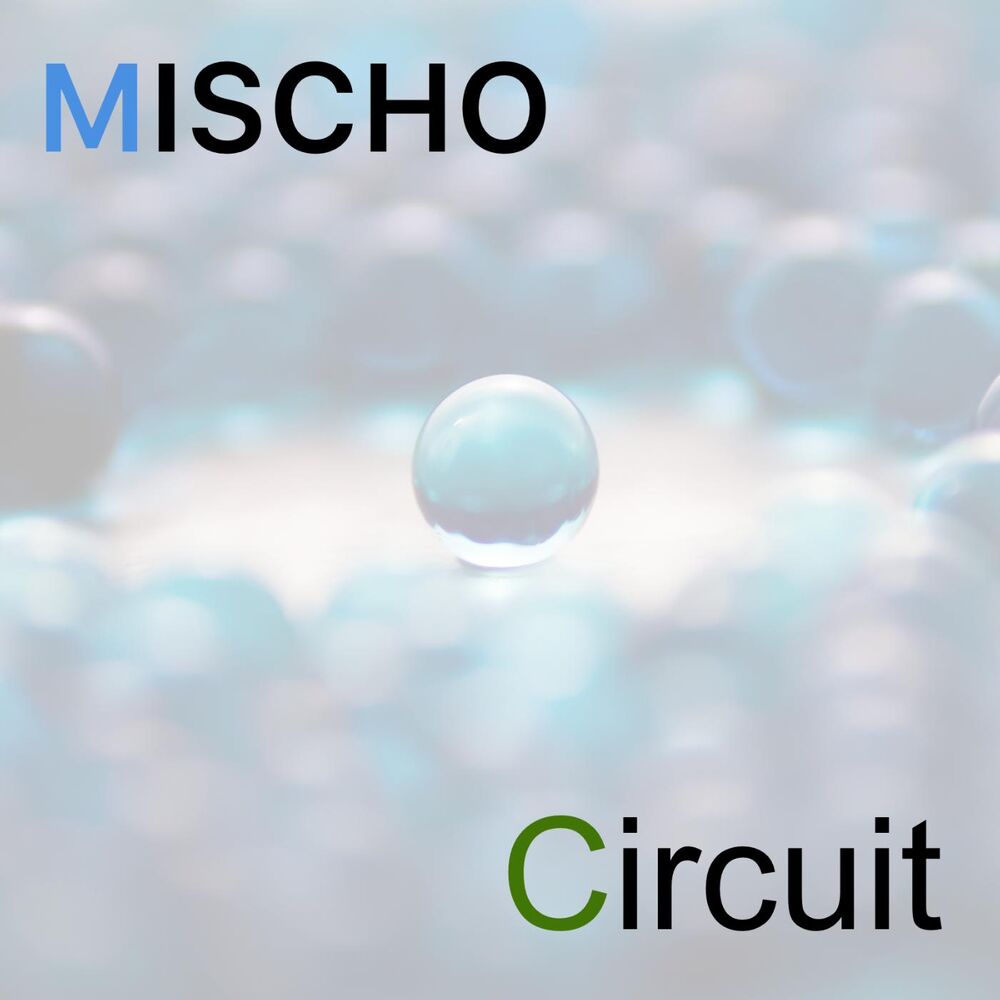 Picture of Circuit