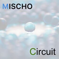 Cover of Circuit