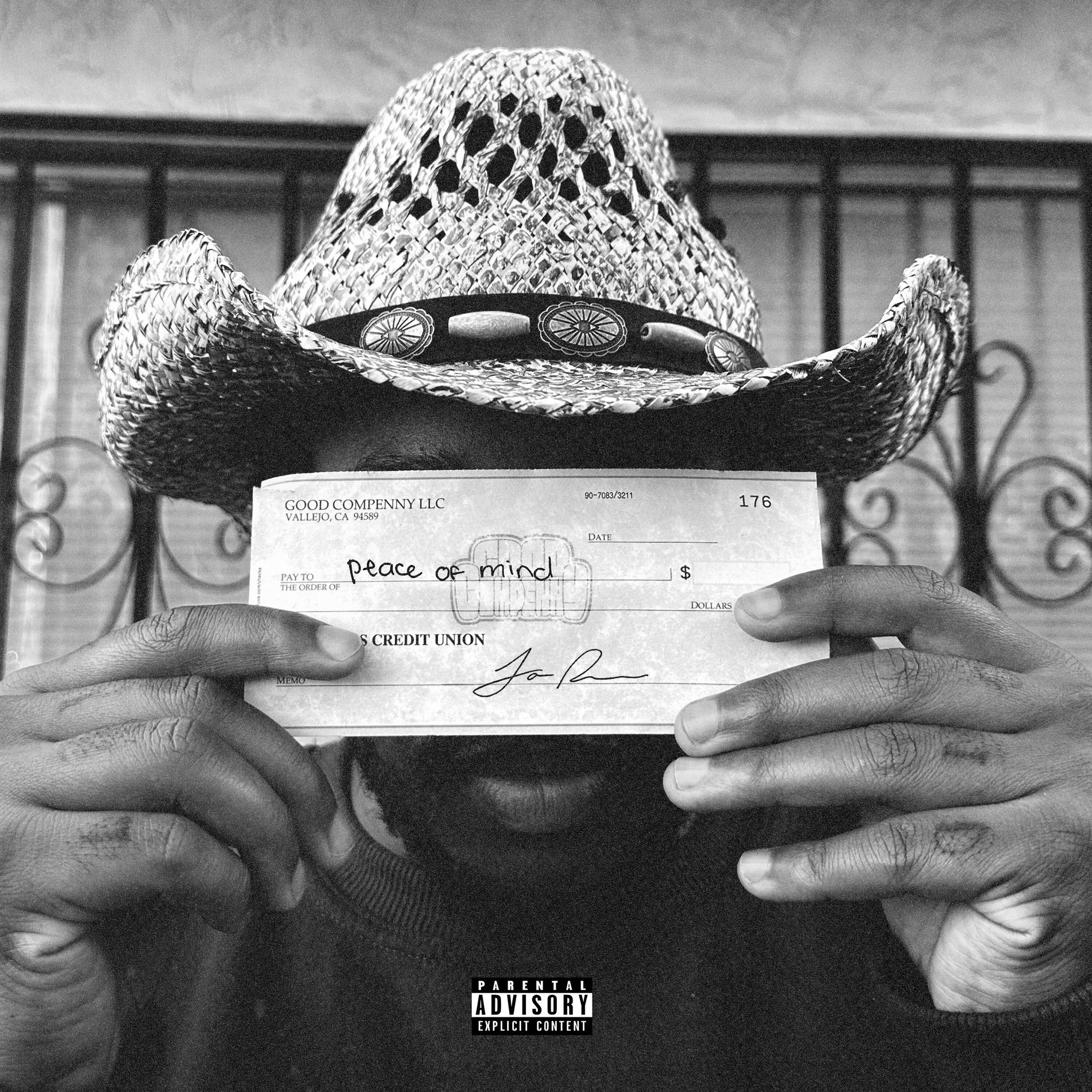 Album cover of HOW MUCH DOES A PEACE OF MIND COST?