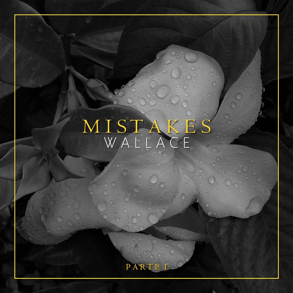 Picture of Mistakes, Pt 1