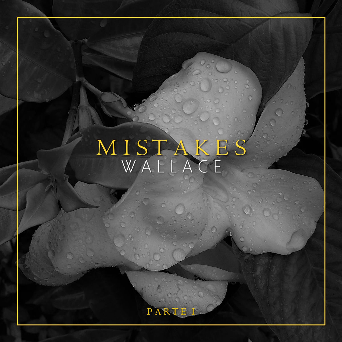 Album cover of Mistakes, Pt 1