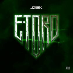 Cover of E-TORO