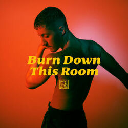 Cover of Burn Down This Room