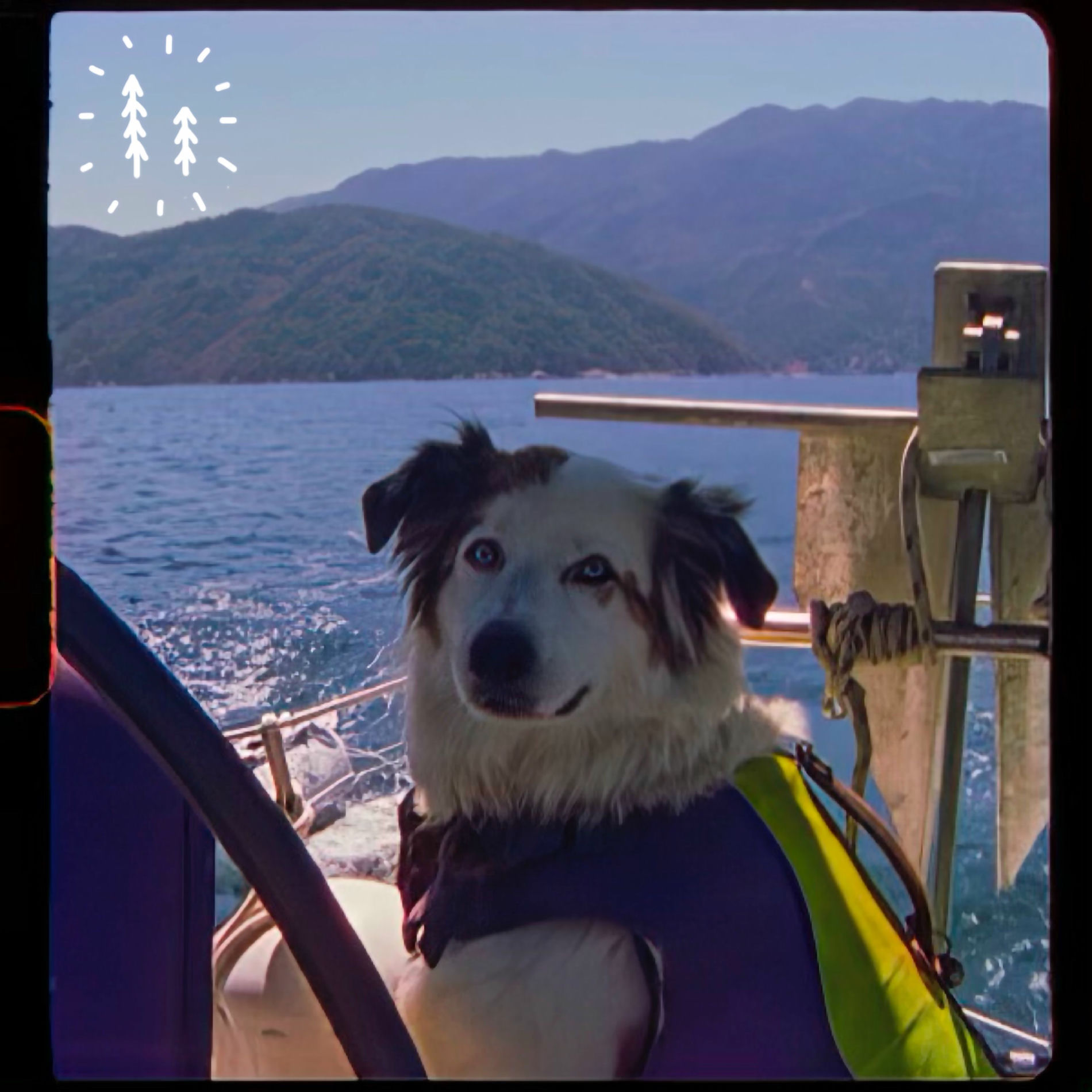 Album cover of Mexico