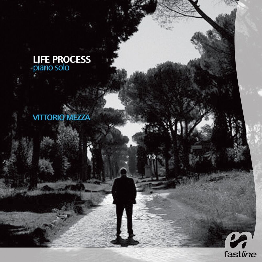 Picture of Life process (Piano solo)