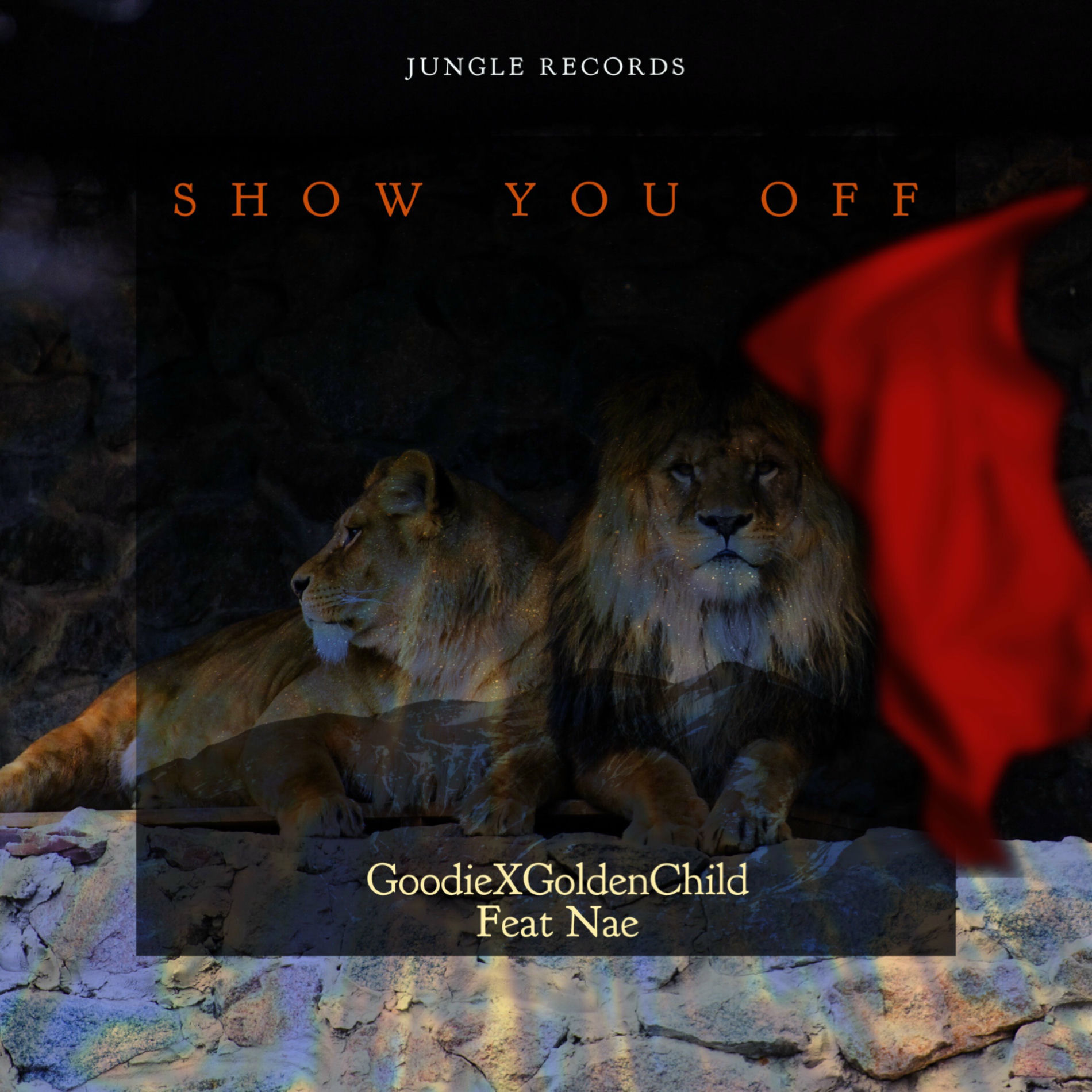 Album cover of Show You Off