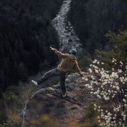 Cover of Fly Away