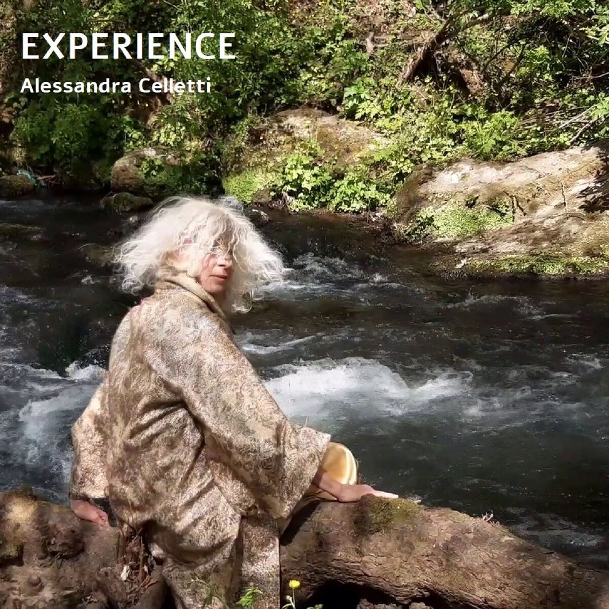 Album cover of Experience
