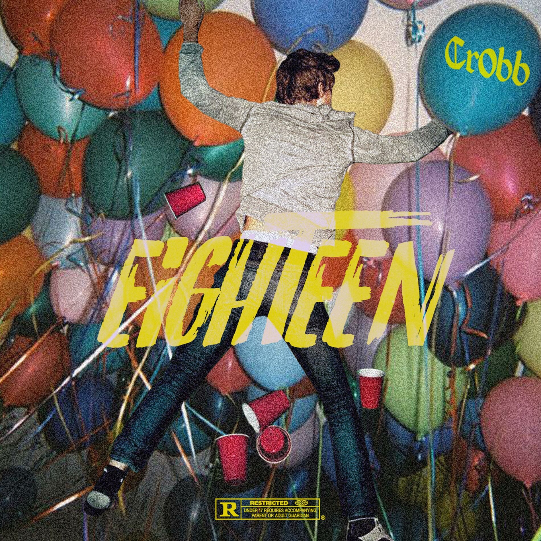 Album cover of 18