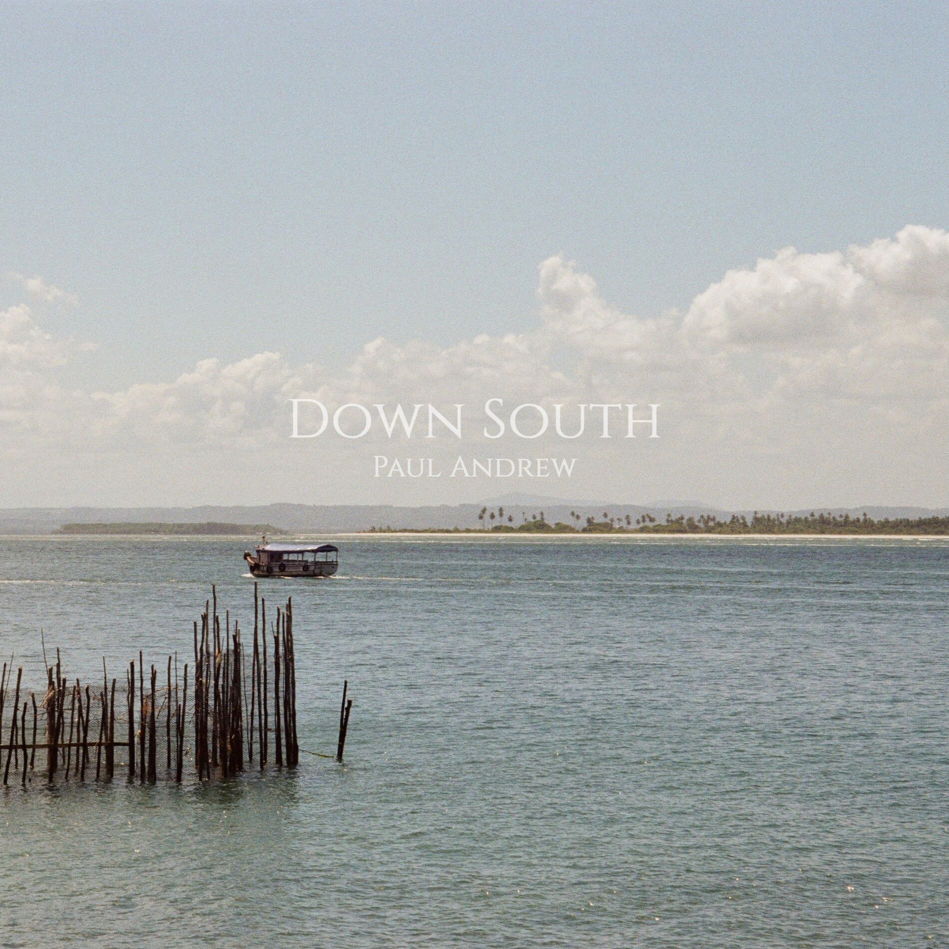 Album cover of Down South