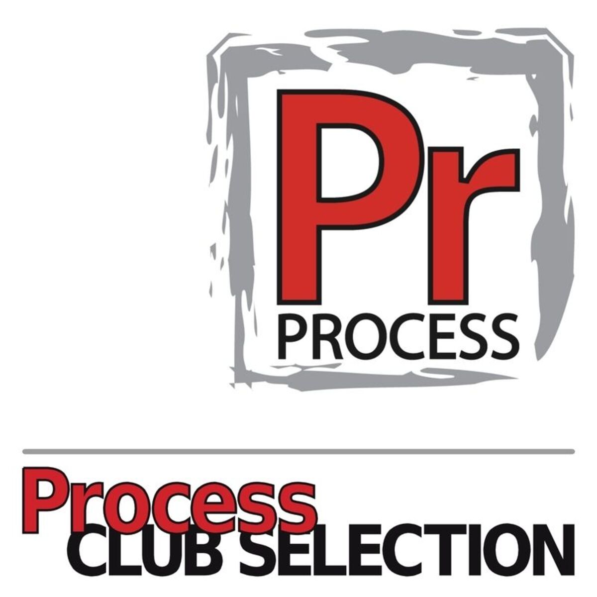 Album cover of Process Club Selection