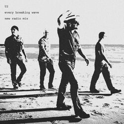 Cover of Every Breaking Wave