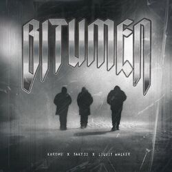 Cover of Bitumen