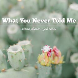 Cover of What You Never Told Me