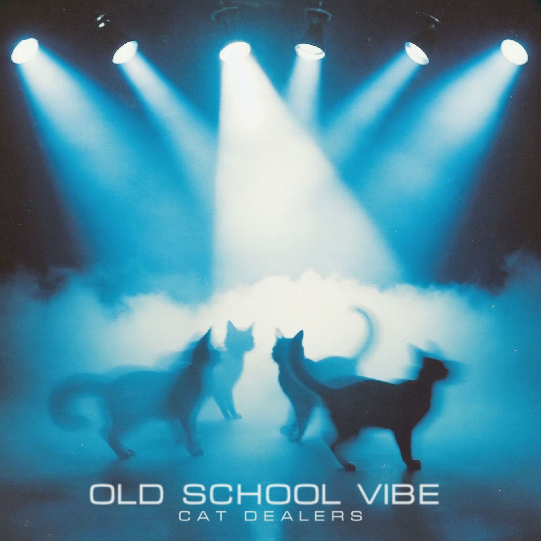 Album cover of Old School Vibe