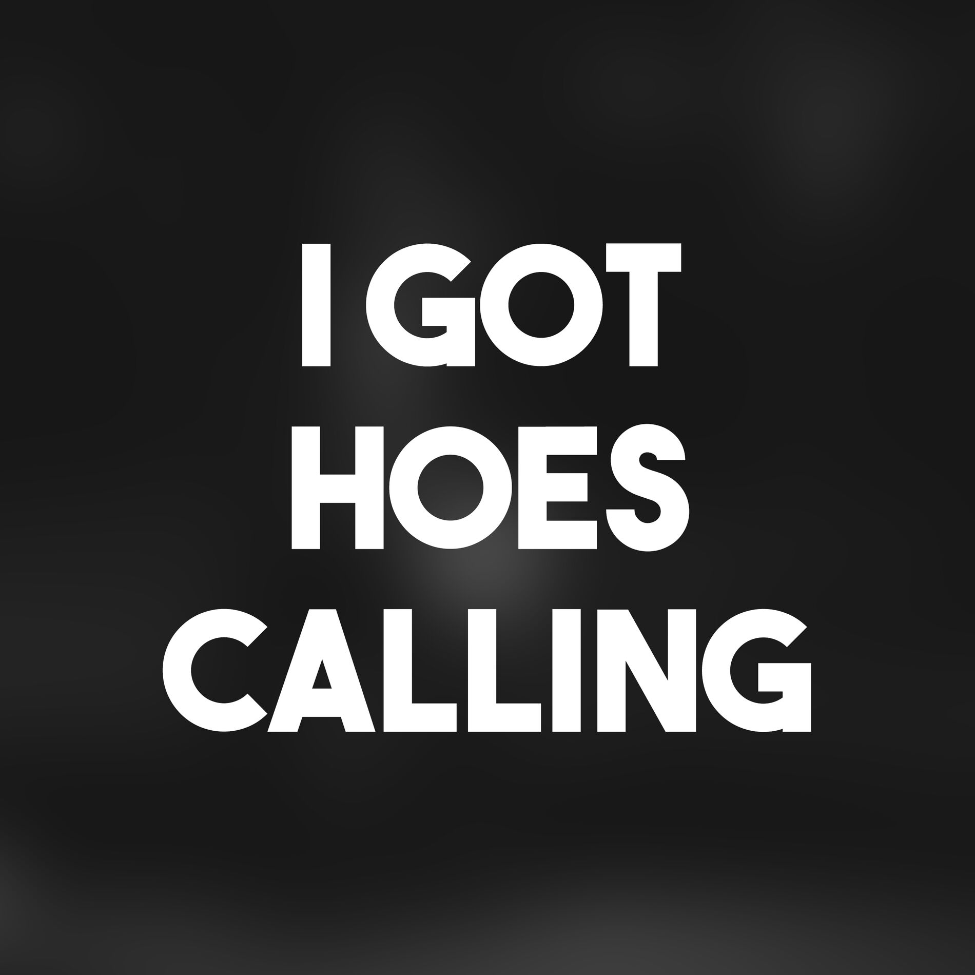 Album cover of I Got Hoes Calling