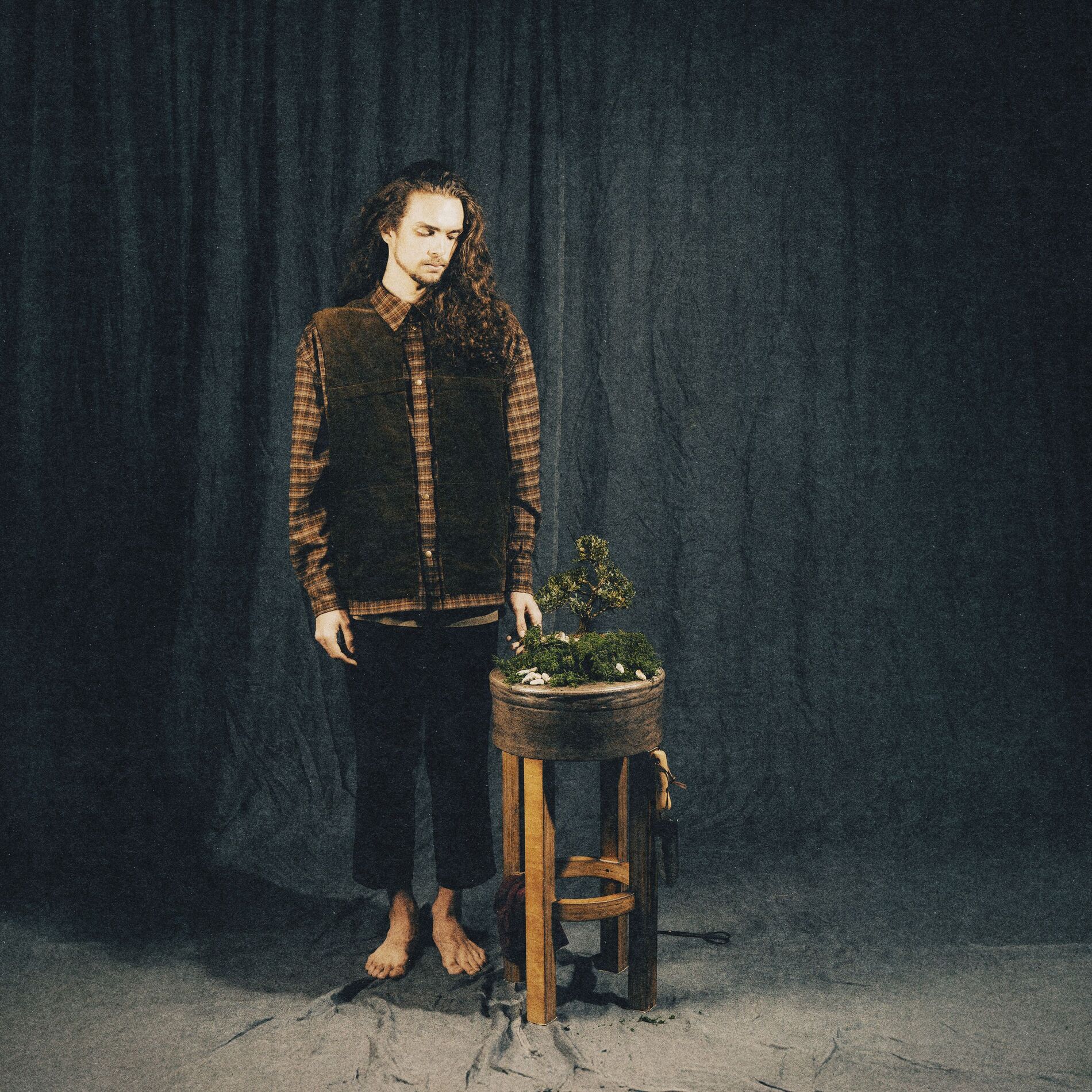 Album cover of руководство по уходу за деревом