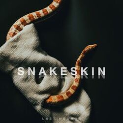 Cover of Snakeskin