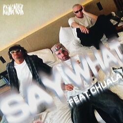 Cover of Say What