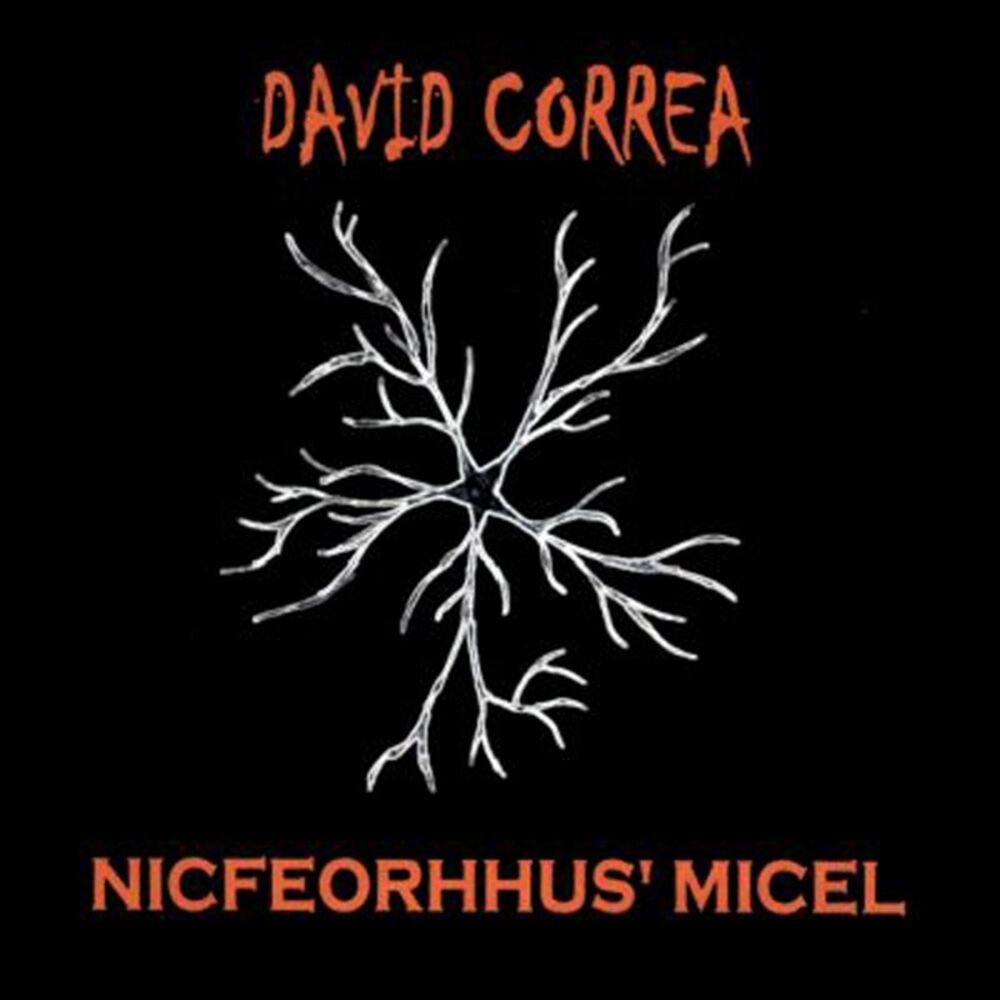 Picture of Nicfeorhhus' Micel