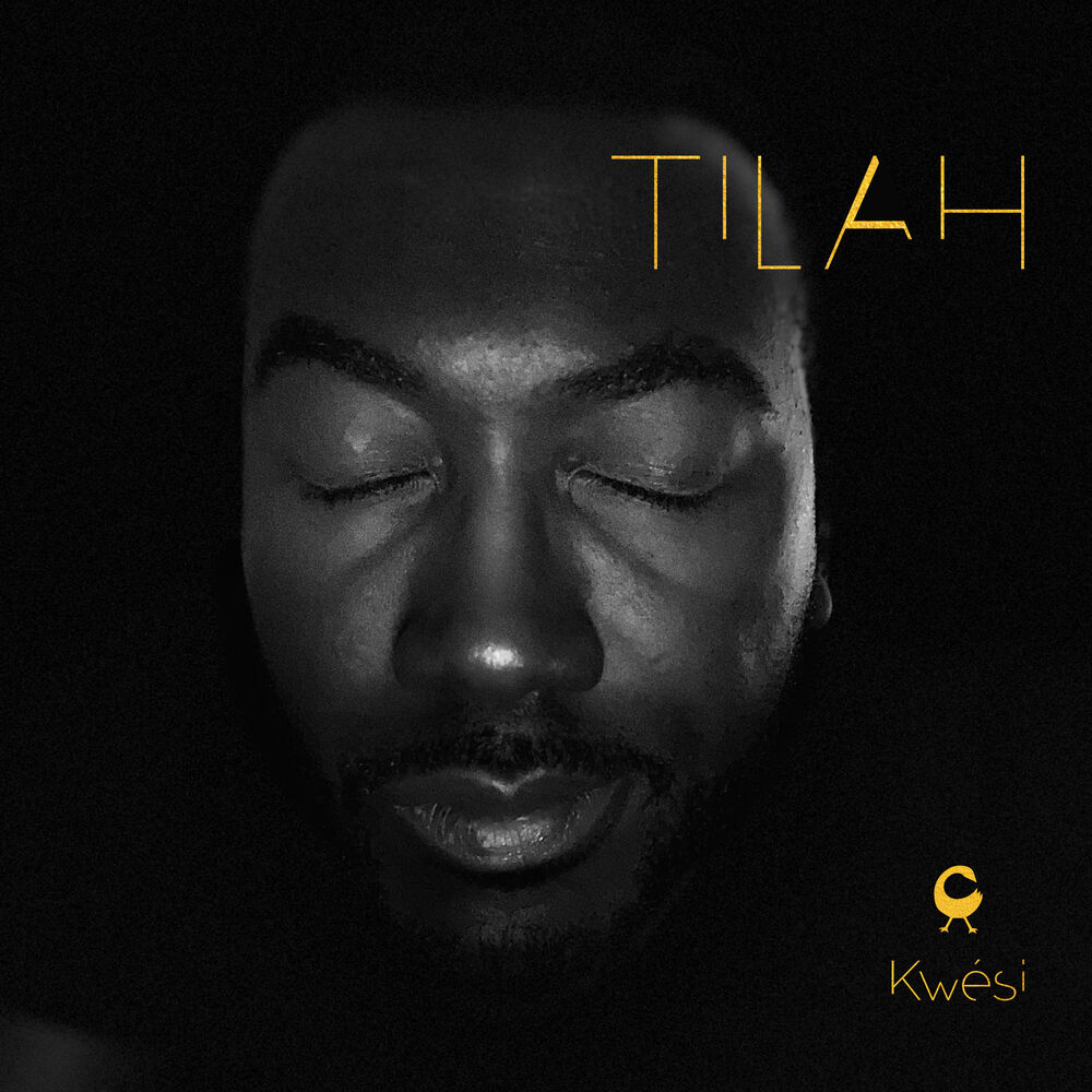 Picture of TILAH (Things I Learned At Home)