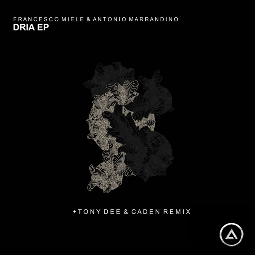 Picture of Dria EP