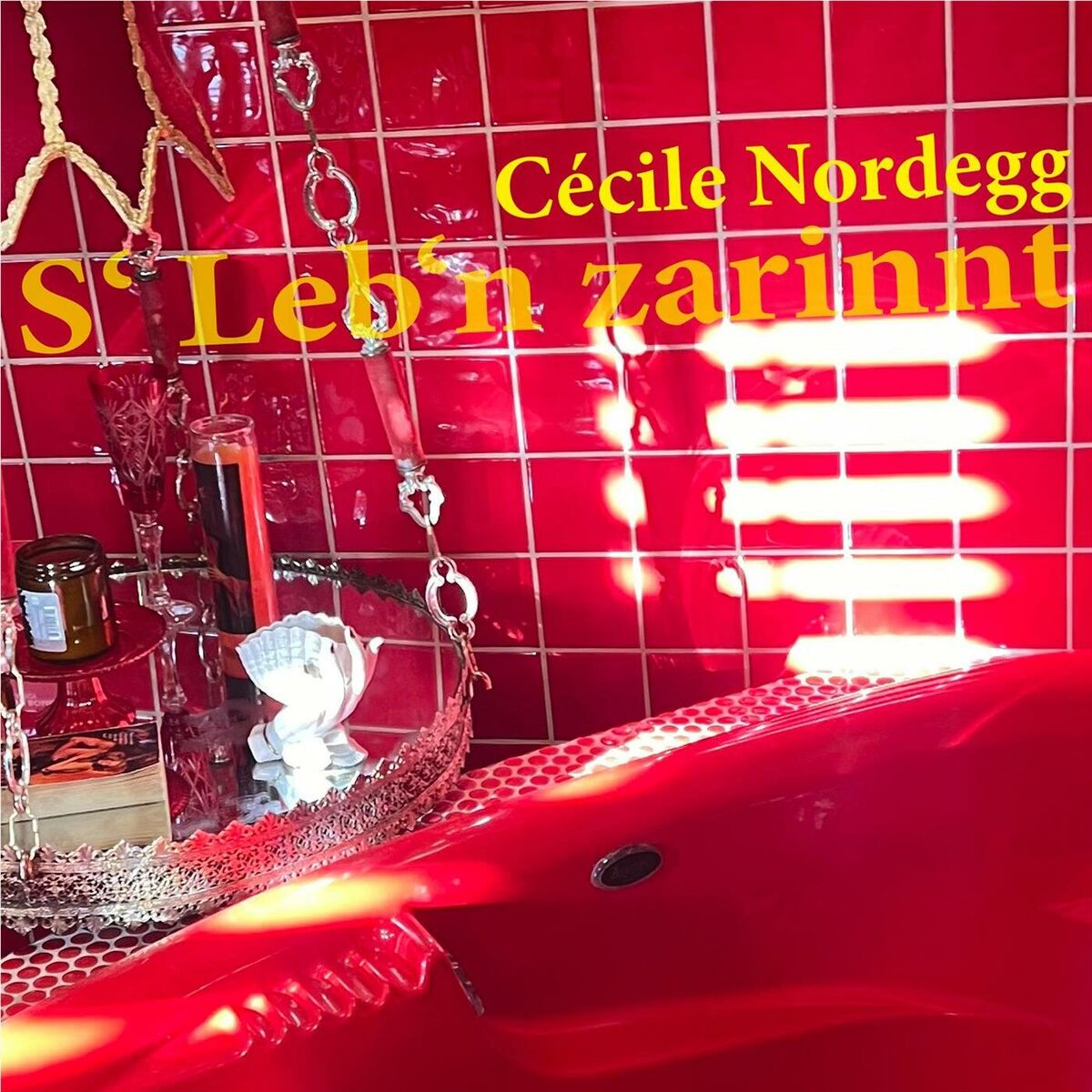 Album cover of S' Leb'n zarinnt (feat. Maria Salamon)
