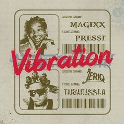 Cover of Vibration