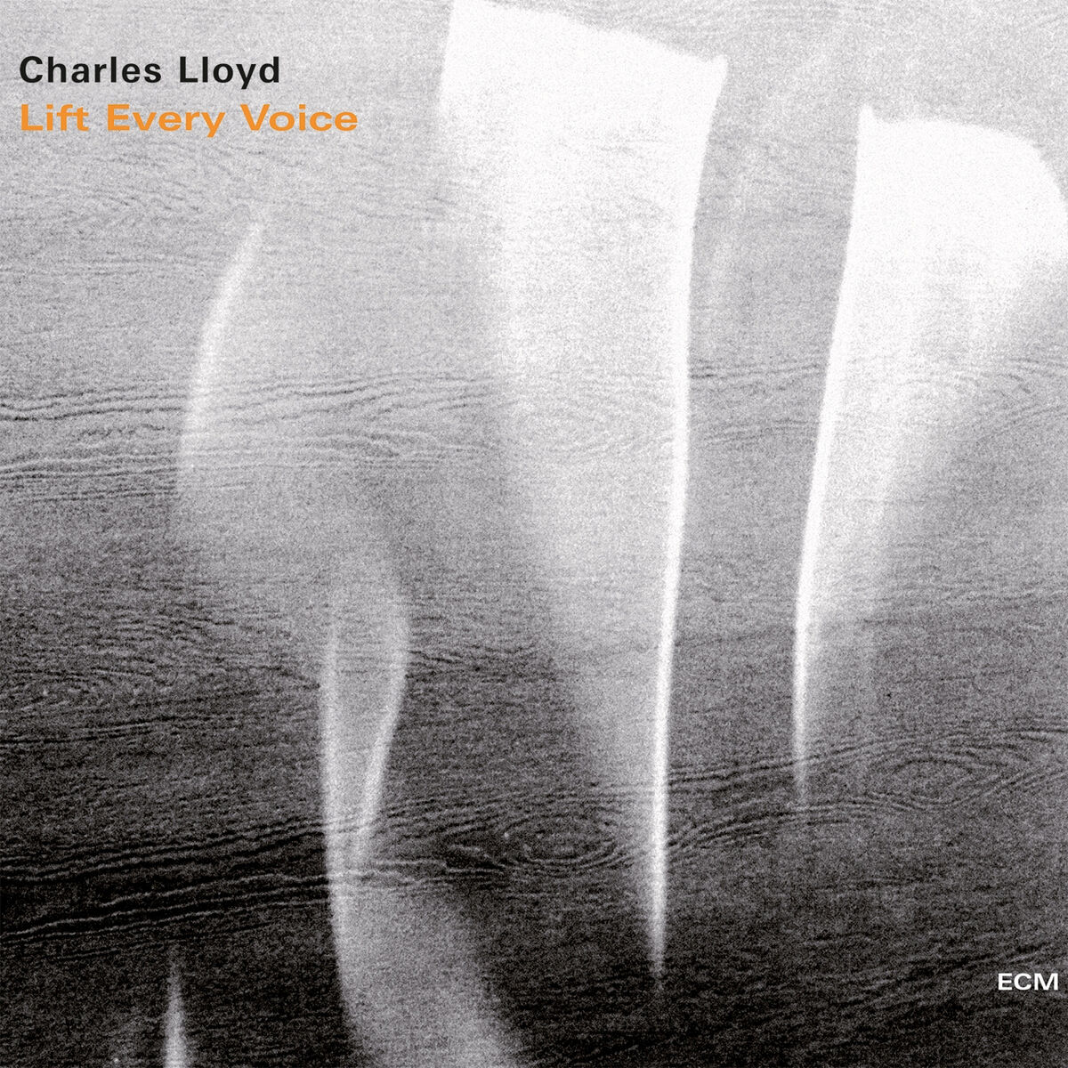 Album cover of Rabo De Nube
