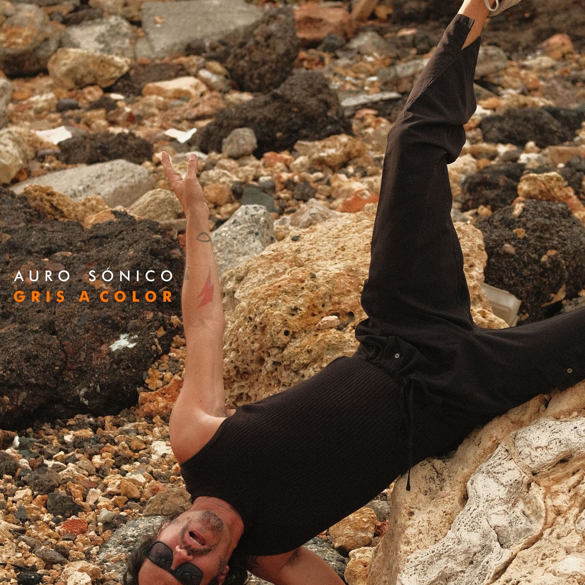 Album cover of Gris a Color