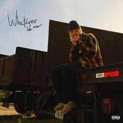 Cover of whatever we are