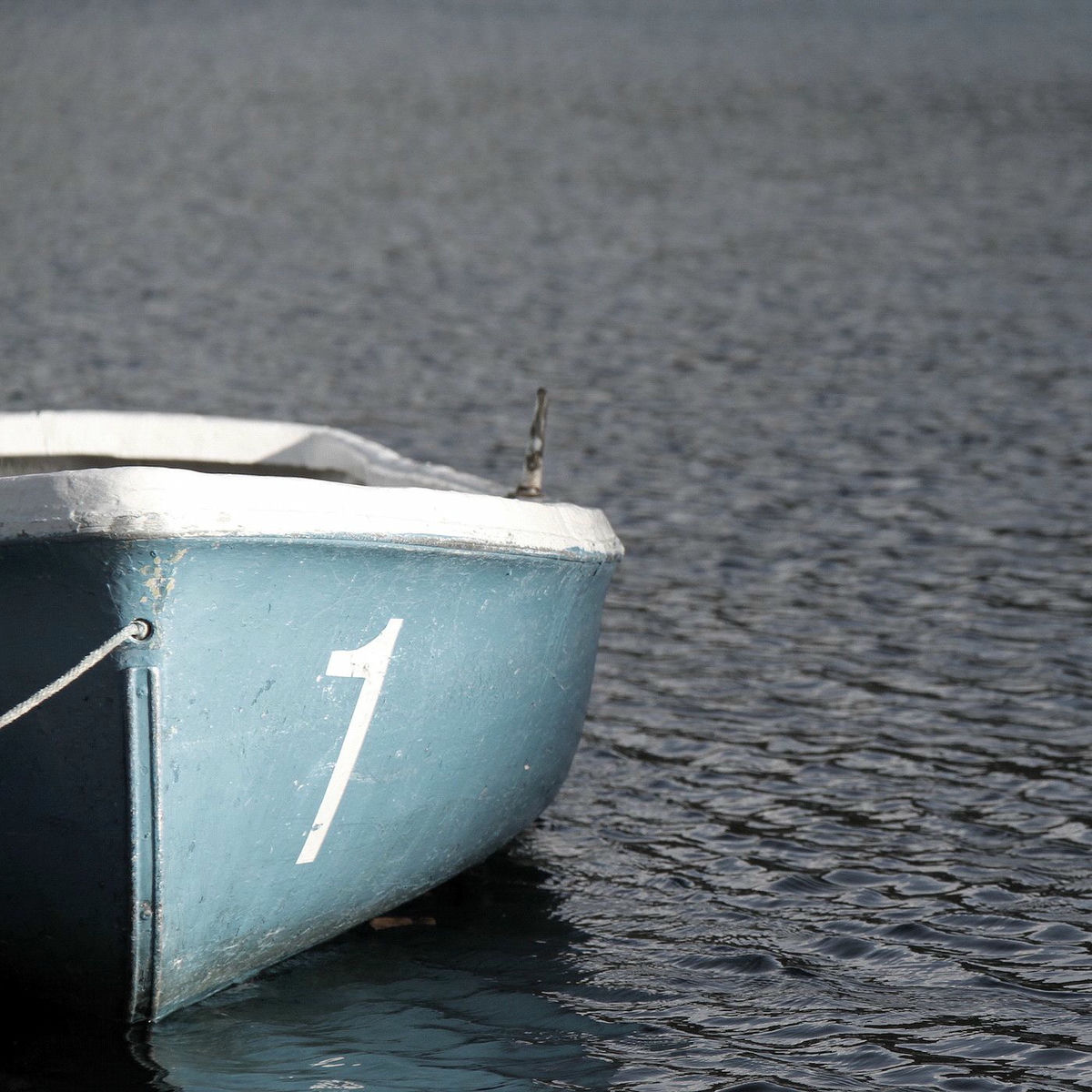 Album cover of Wakes on Cerulean