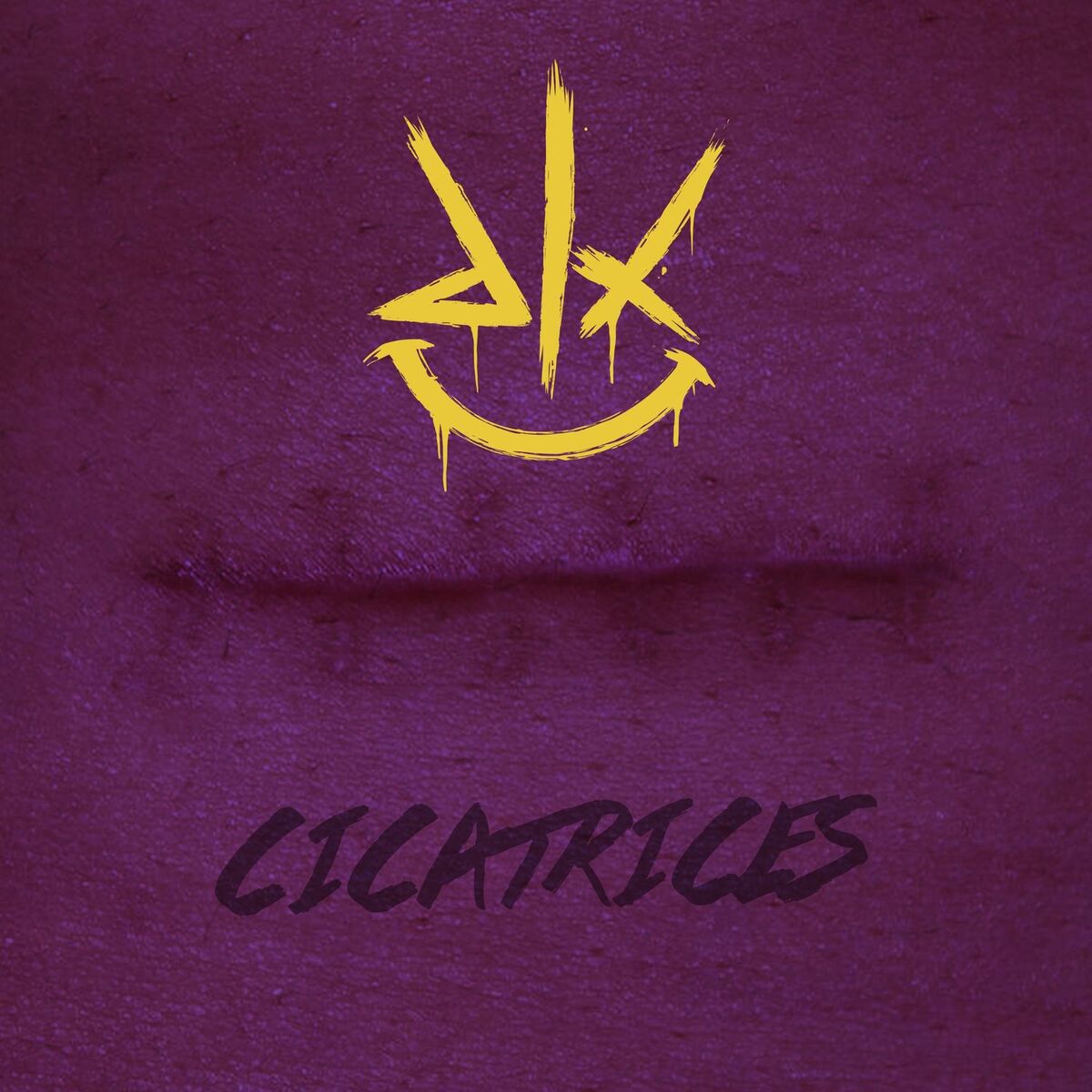 Album cover of Cicatrices