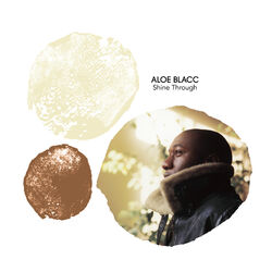 Cover of Shine Through