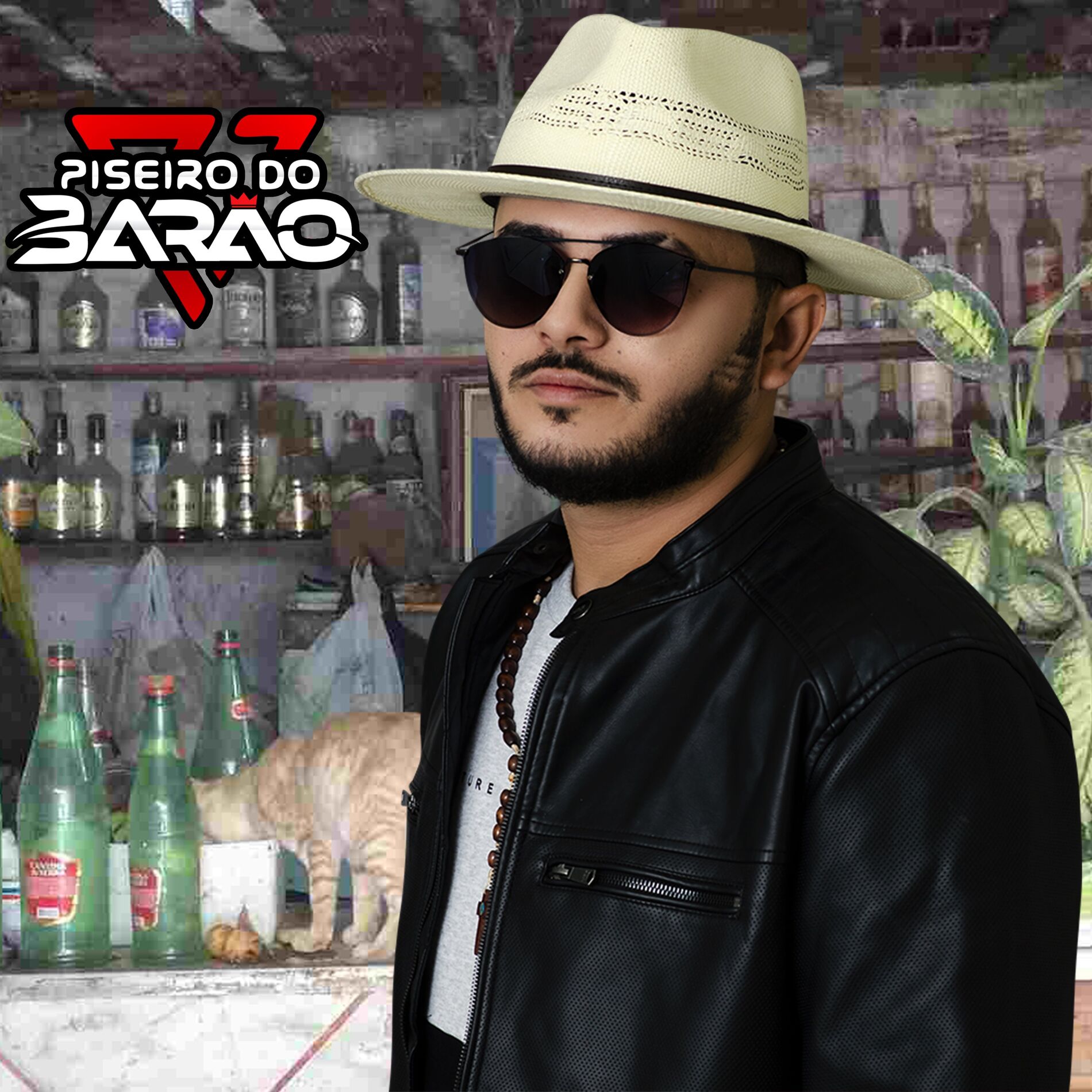 Album cover of Rolê da Disgrama