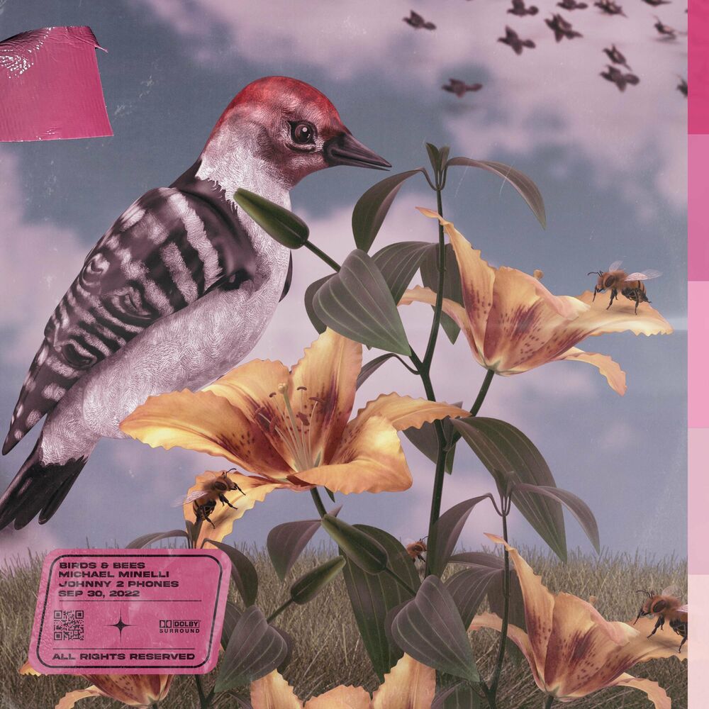 Picture of Birds & Bees